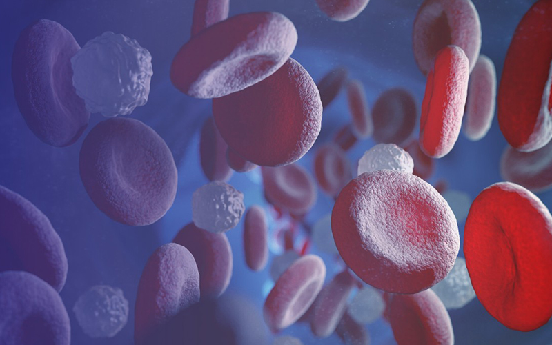 Sepsis Rapid Detection Solution 