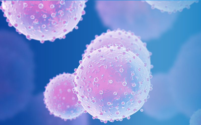 Human Herpesvirus Rapid Detection Solution